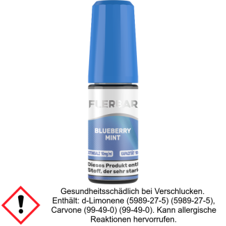 Flerbar Liquid - Blueberry Mint - Nikotinsalz Liquid 10 mg/ml