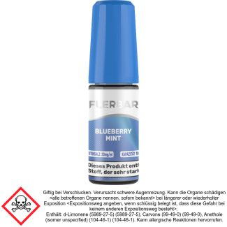 Flerbar Liquid - Blueberry Mint - Nikotinsalz Liquid 20 mg/ml