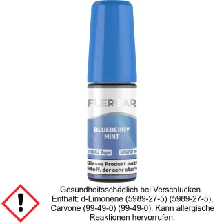 Flerbar Liquid - Blueberry Mint - Nikotinsalz Liquid 10 mg/ml