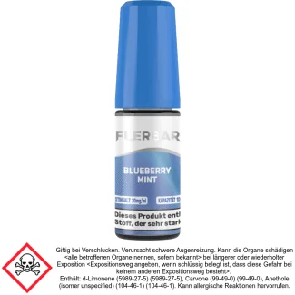 Flerbar Liquid - Blueberry Mint - Nikotinsalz Liquid 20 mg/ml