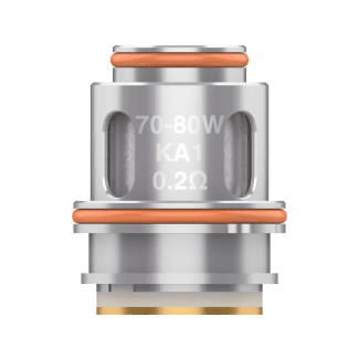 Z Series 0,2 Ohm Heads (5er Pack) GeekVape 